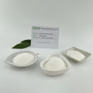 Hydrolyzed-Collagen-Powder1